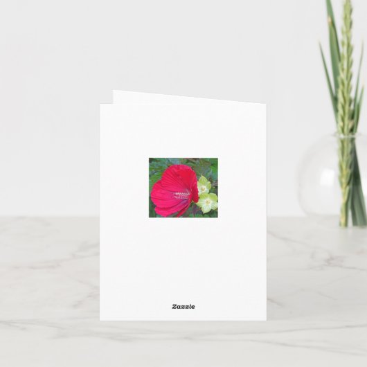 RED HIBISKUS/FLORAL/"VIELEN DANK" KARTE (Rückseite)