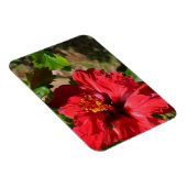 Red Hibiskus Magnet (Rechte Seite)