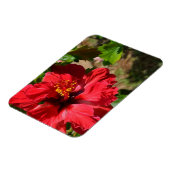 Red Hibiskus Magnet (Linke Seite)