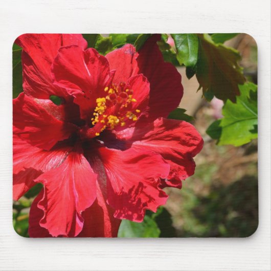 Red Hibiskus Mouse Pad Mousepad (Vorne)