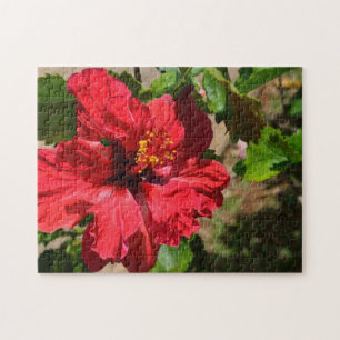 Red Hibiskus Puzzle