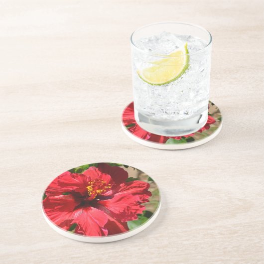 Red Hibiskus Sandstone Untersetzer (Seite)