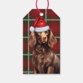 Red Holiday Kariert Boykin Spaniel Weihnachten Geschenkanhänger (Vorderseite)