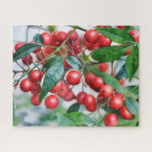 Red Holly Berry Berries Naturerlebnis Puzzle (Horizontal)