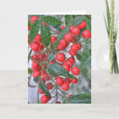 Red Holly Berry Branch und Snow Holiday Weihnachte Karte (Vorderseite)