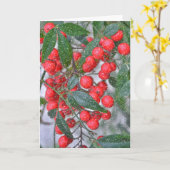 Red Holly Berry Branch und Snow Holiday Weihnachte Karte (Gelbe Blume)