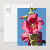 Red Hollyhock Against a Blue Sky Postkarte (Vorne/Hinten)