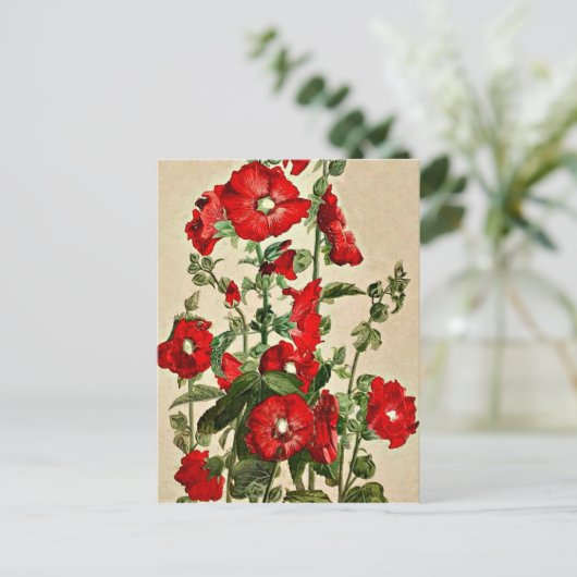 Red Hollyhocks Postkarte (Stehend Vorderseite)