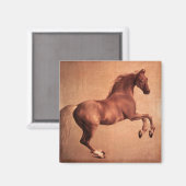RED HORSE MAGNET (Vorderseite/Rückseite)