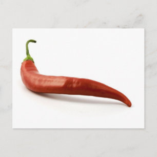Red Hot Chili Pepper auf weißem Hintergrund Postkarte