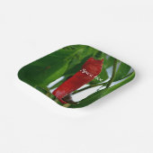 Red Hot Chili Pepper Green White Fotografy Pappteller (Gewinkelt)