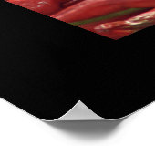 Red Hot Chilies Poster (Ecke)