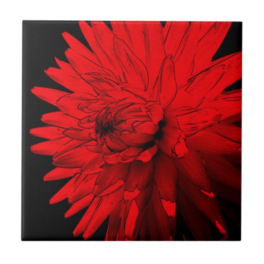 Red Hot Dahlia Floral Art Tile Fliese (Vorderseite)