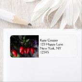 Red Hot Garden Salsa Chili Paprikaschoten. (Insitu)