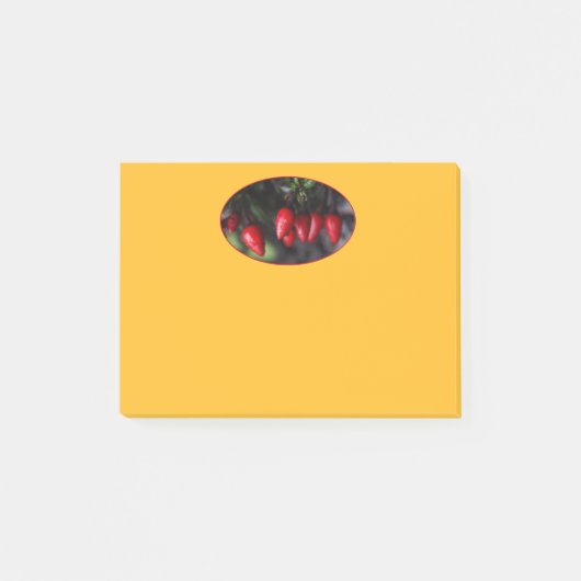 Red Hot Garden Salsa Chili Paprikaschoten. Post-it Klebezettel (Vorderseite)