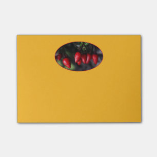 Red Hot Garden Salsa Chili Paprikaschoten. Post-it Klebezettel