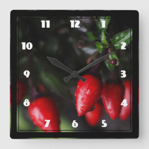 Red Hot Garden Salsa Chili Peppers. Quadratische Wanduhr