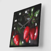 Red Hot Garden Salsa Chili Peppers. Quadratische Wanduhr (Winkel)