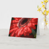 Red Hot Gerbera Karte (Gelbe Blume)