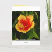 Red Hot Hibiskus Muttertagskarte Karte (Rückseite)