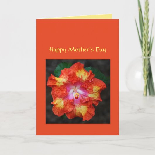 Red Hot Hibiskus Muttertagskarte Karte (Vorderseite)
