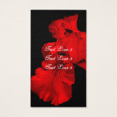 Red Hot Iris Blume Art (Rückseite)