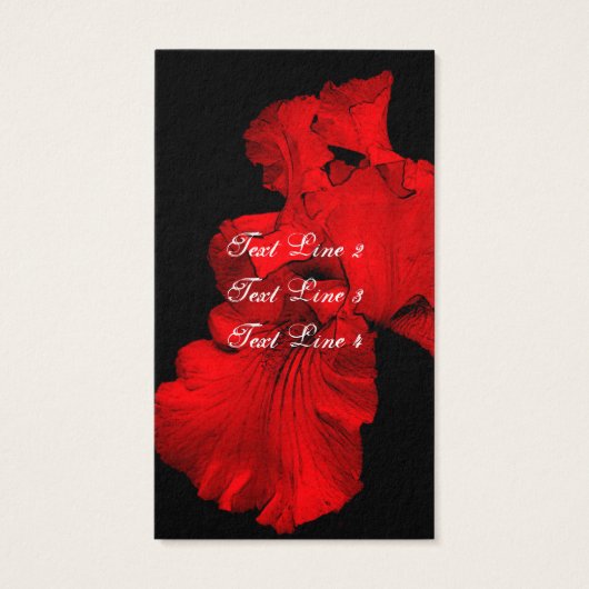 Red Hot Iris Blume Art (Rückseite)