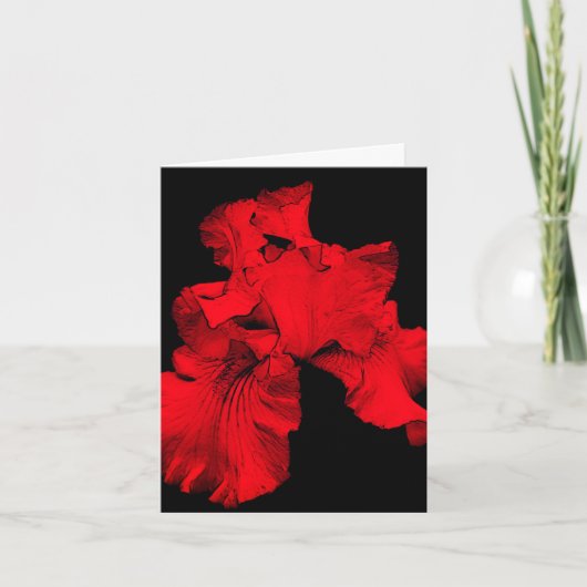 Red Hot Iris Blume Art Blank Note Card Dankeskarte (Vorderseite)