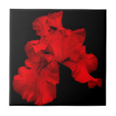 Red Hot Iris Floral Art Tile Fliese (Vorderseite)