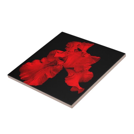 Red Hot Iris Floral Art Tile Fliese (Seite)