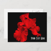 Red Hot Iris Floral individuell einstellbar Postkarte (Vorne/Hinten)