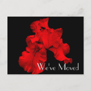 Red Hot Iris New Address Floral Art Postkarte