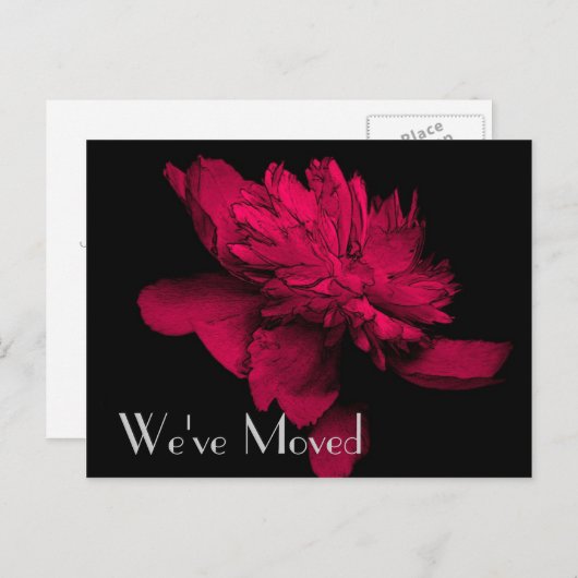 Red Hot Peony New Address Floral Art Postkarte (Vorne/Hinten)