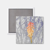 Red Hot Poker Magnet (Vorderseite/Rückseite)