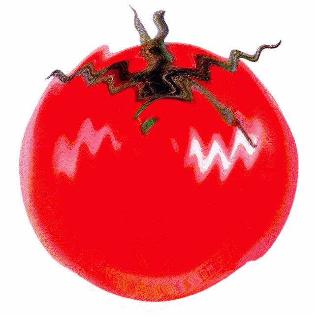 Red Hot Tomato Fotoskulptur Magnet (Vorne)