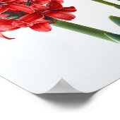 Red Hyacinth Blumen Art Print Poster (Ecke)