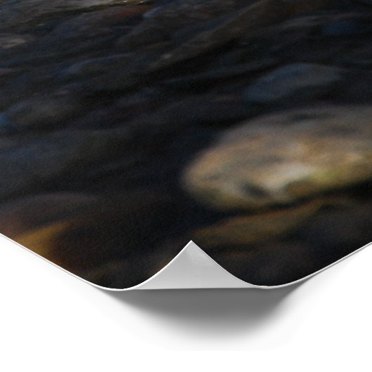 Red Ibis Poster (Ecke)