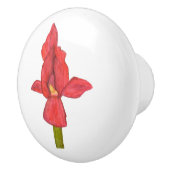 Red Iris Drawer Pull Keramikknauf (Rechts)
