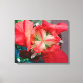 Red Iris Leinwand (Vorderseite)