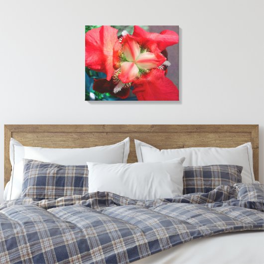 Red Iris Leinwand (Insitu (Schlafzimmer))