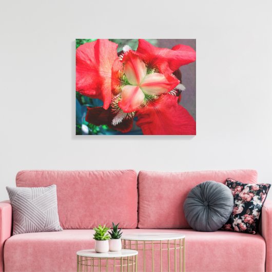Red Iris Leinwand (Insitu (Wohnzimmer))