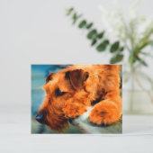 Red Irish Terrier Dog Künstlerisch Pet Portrait Postkarte (Stehend Vorderseite)