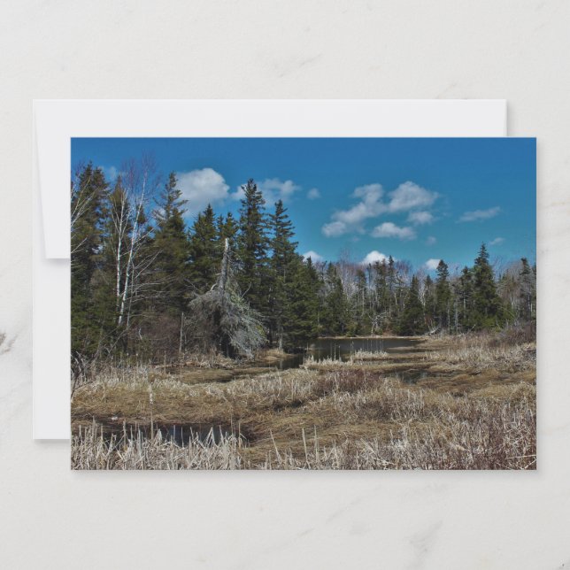 Red Island Pond (Vorderseite)