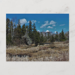 Red Island Pond Postkarte