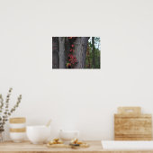 Red Ivy on Tree Poster (Küche)
