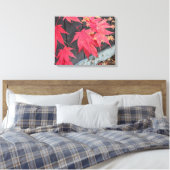 Red Japanese Maple Leaves Botanical Leinwanddruck (Insitu (Schlafzimmer))