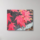 Red Japanese Maple Leaves Botanical Leinwanddruck (Vorderseite)
