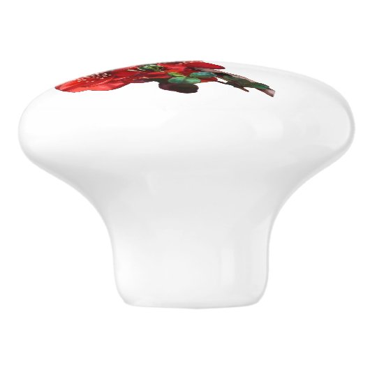 Red Japanese Quince Blossom weiß Keramikknauf (Seitenansicht)