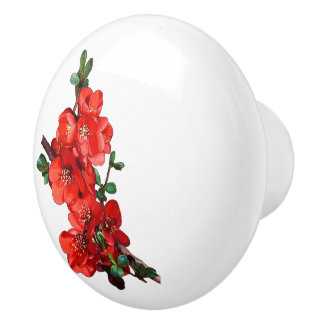 Red Japanese Quince Blossom weiß Keramikknauf