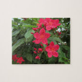 Red Jatropha Flowers Puzzle (Horizontal)